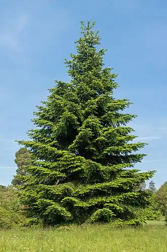 alternativní popis obrázku chybí