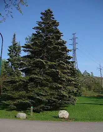 alternativní popis obrázku chybí