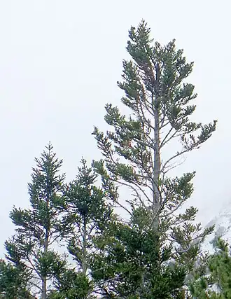 alternativní popis obrázku chybí