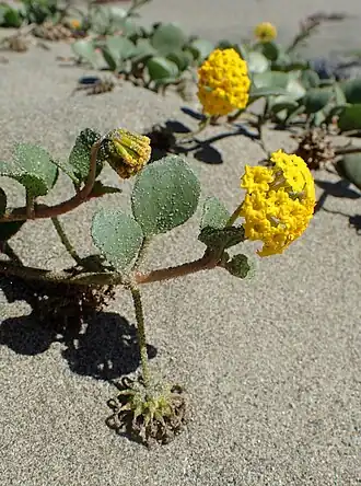 alternativní popis obrázku chybí