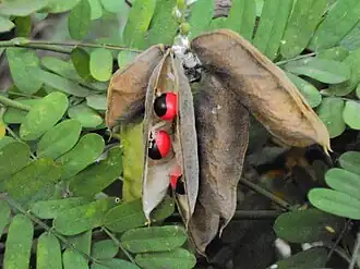 alternativní popis obrázku chybí