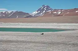 Pohled na sopku Acamarachi