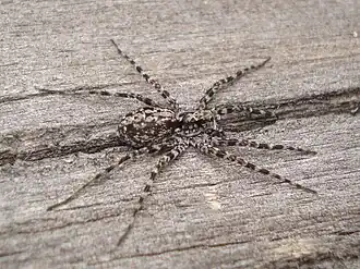 alternativní popis obrázku chybí