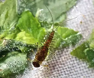 alternativní popis obrázku chybí