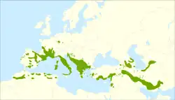 Areál rozšíření