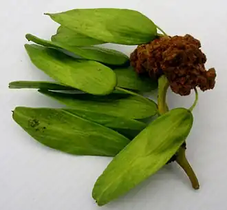 alternativní popis obrázku chybí