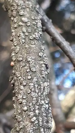 alternativní popis obrázku chybí