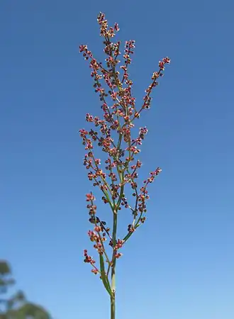 alternativní popis obrázku chybí