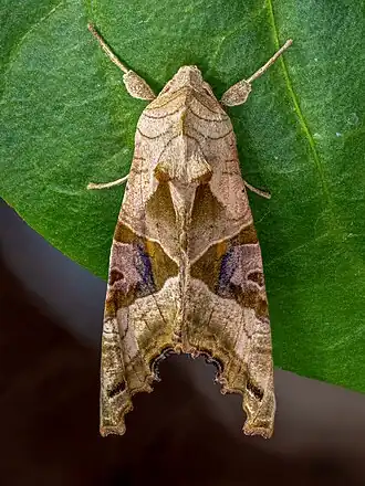 alternativní popis obrázku chybí