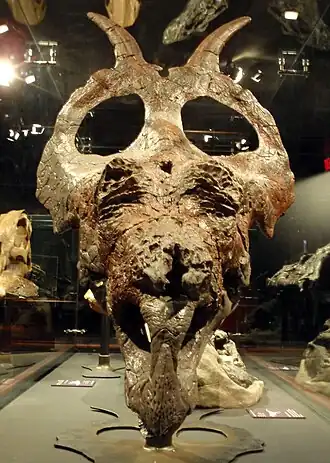 alternativní popis obrázku chybí