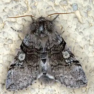 alternativní popis obrázku chybí