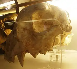 alternativní popis obrázku chybí