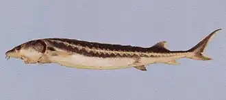 alternativní popis obrázku chybí