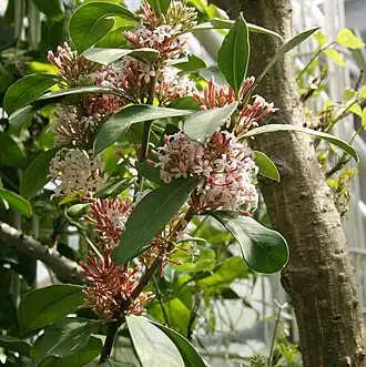 alternativní popis obrázku chybí