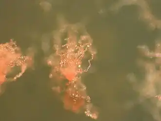 alternativní popis obrázku chybí