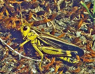 alternativní popis obrázku chybí