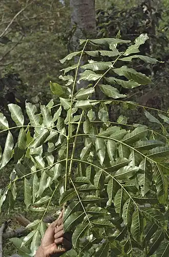 alternativní popis obrázku chybí