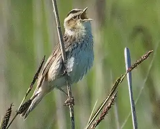 alternativní popis obrázku chybí