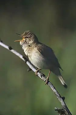 alternativní popis obrázku chybí