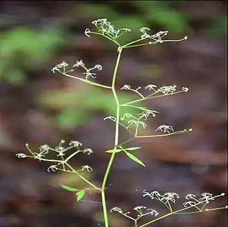 alternativní popis obrázku chybí