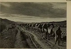 Across Mongolian plains; a naturalist's account of China's „great northwest“, 1921