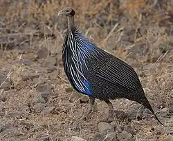 alternativní popis obrázku chybí