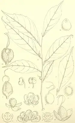 alternativní popis obrázku chybí