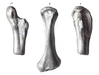 alternativní popis obrázku chybí