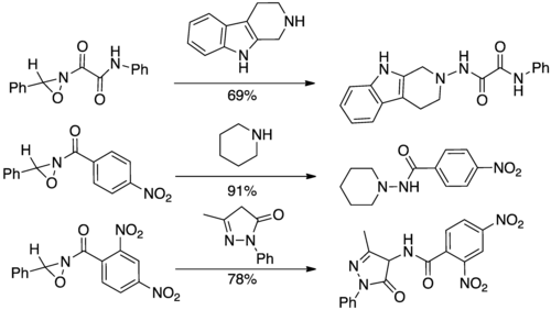 Příklady reakcí s přenosem acylové skupiny oxaziridinu