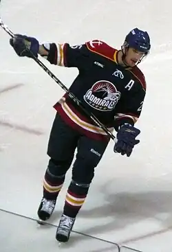 Fotografie Adama Halla na ledě