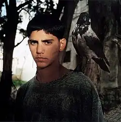 Cyklus Chlapci, 2000