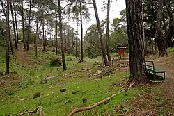 U pramene Kefalovrisia