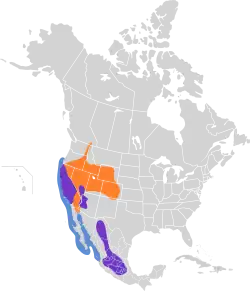 Areál rozšíření:      Hnízdiště      Zimoviště      Celoroční výskyt