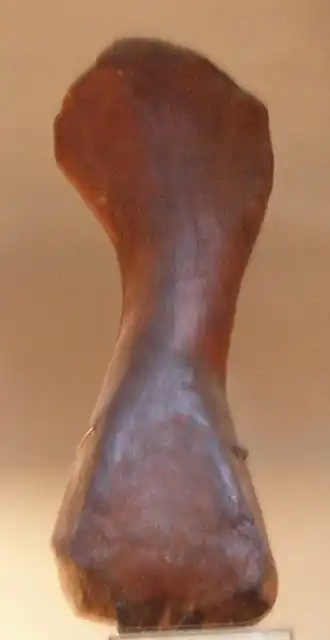 alternativní popis obrázku chybí