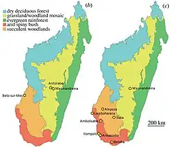 Areál rozšíření