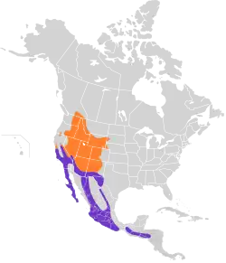 oranžově – letní výskyt fialově – celoroční výskyt