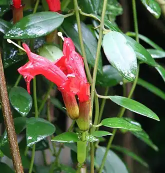 alternativní popis obrázku chybí