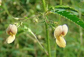 alternativní popis obrázku chybí