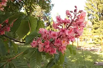 alternativní popis obrázku chybí