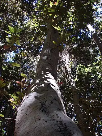 alternativní popis obrázku chybí