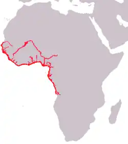 Areál rozšíření