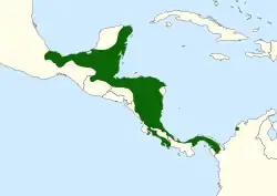 Areál rozšíření