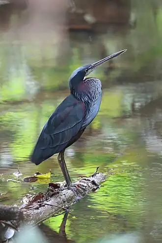 alternativní popis obrázku chybí