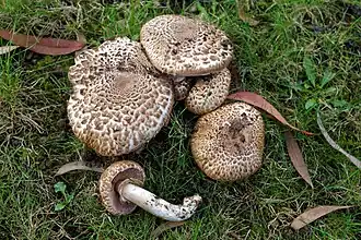 alternativní popis obrázku chybí