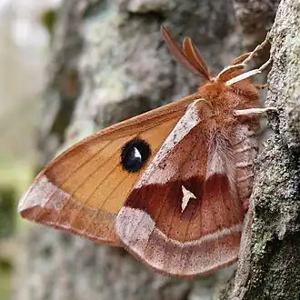 alternativní popis obrázku chybí