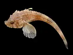 alternativní popis obrázku chybí