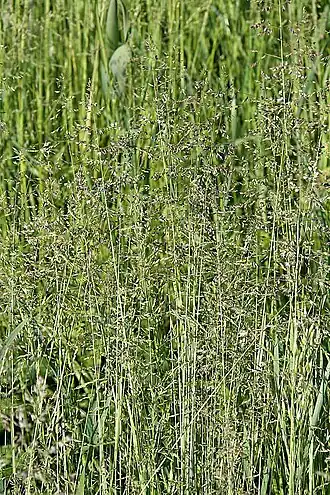 alternativní popis obrázku chybí