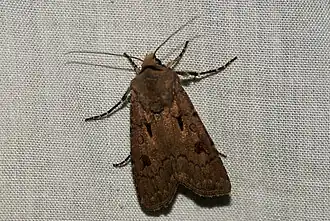 alternativní popis obrázku chybí