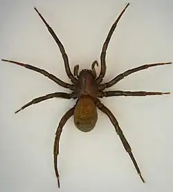 alternativní popis obrázku chybí