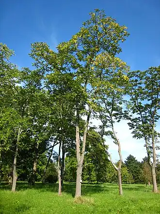 alternativní popis obrázku chybí